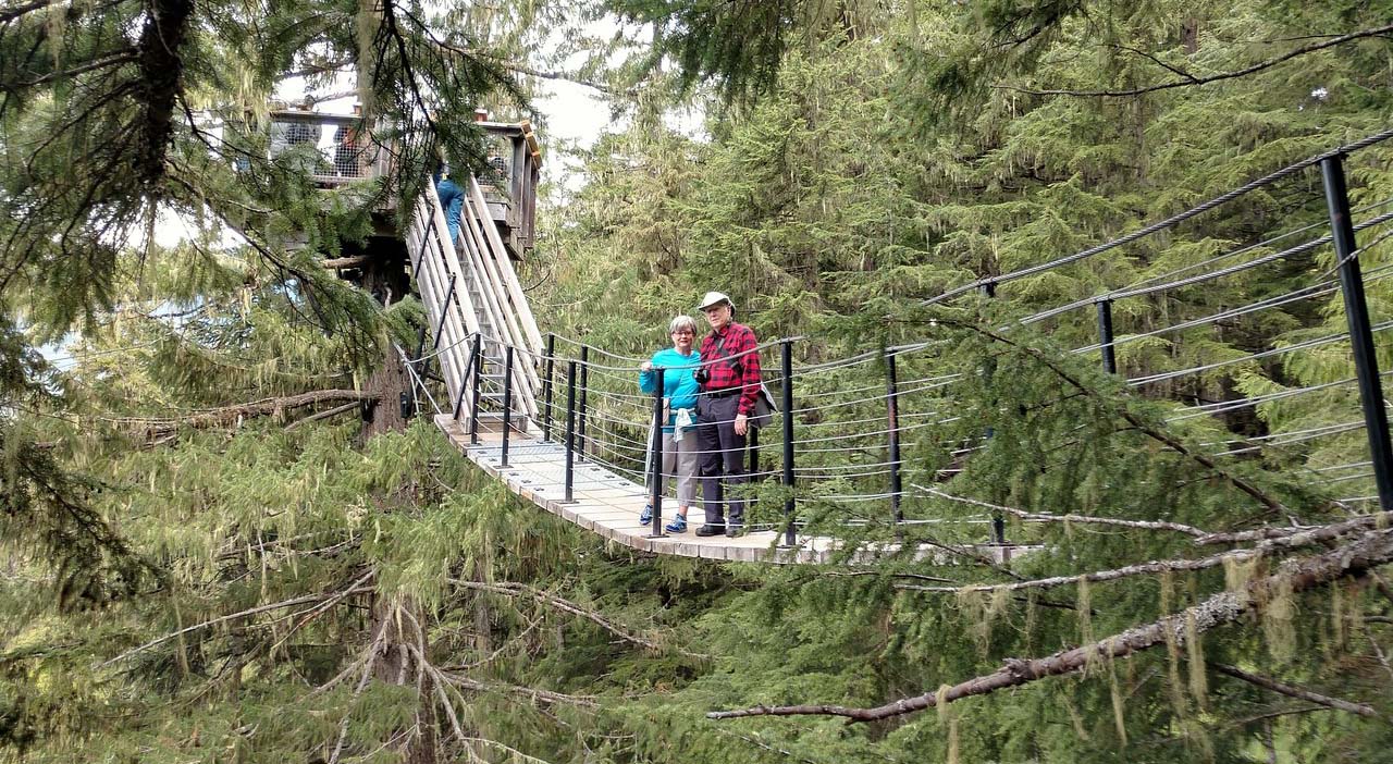 People on a Treetop Canopy walk