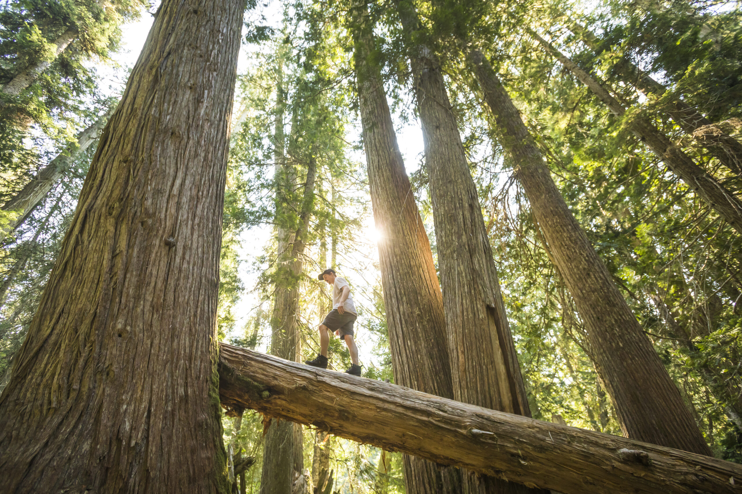 The Best Hikes In Whistler